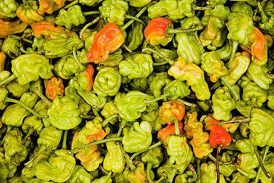 《洛克人EXE合集》预购开启 2023年4月14日发售